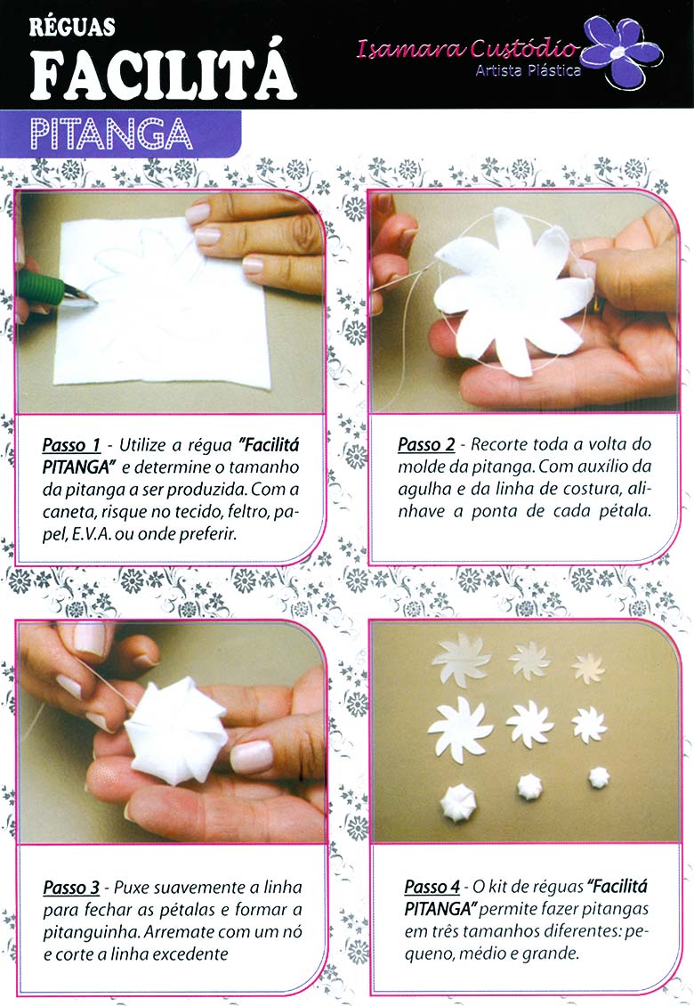 passo a passo pitanga