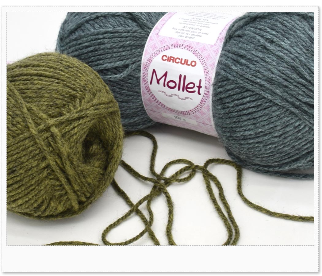 Amostra Fio Mollet 100g - Cores 2025