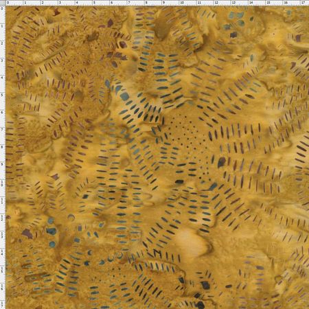 011795_000000_1 011795_000000_1