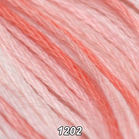 018249_004242_1 018249_004242_1