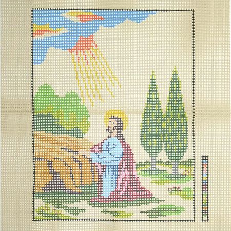 014653_000000_1 014653_000000_1