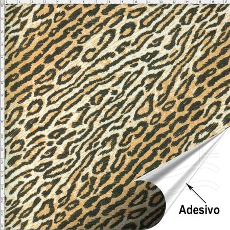 011653_000000_1 011653_000000_1