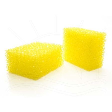 004419_000000_1 004419_000000_1