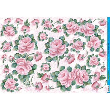 018504_008504_1 018504_008504_1