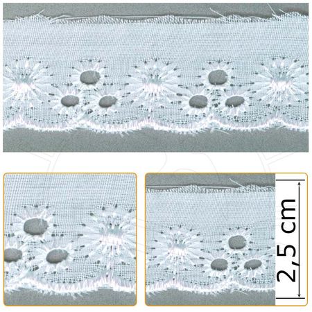 001529_000000_1 001529_000000_1