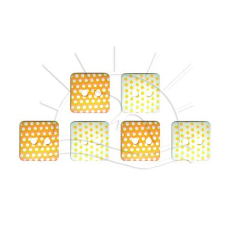 017343_001449_1 017343_001449_1