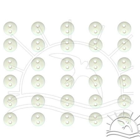 017351_000006_1 017351_000006_1