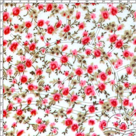 004960_000000_1 004960_000000_1