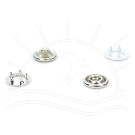 001806_000000_1 001806_000000_1