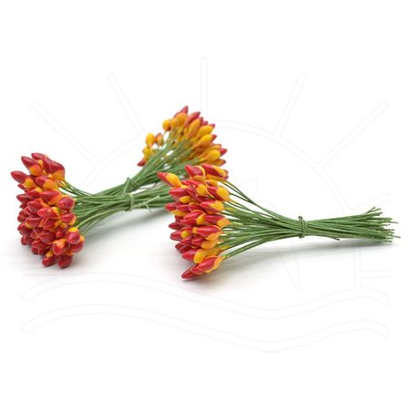 009471_000000_1 009471_000000_1