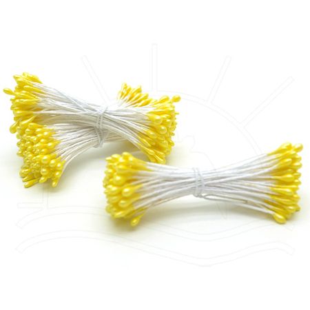 009489_000000_1 009489_000000_1