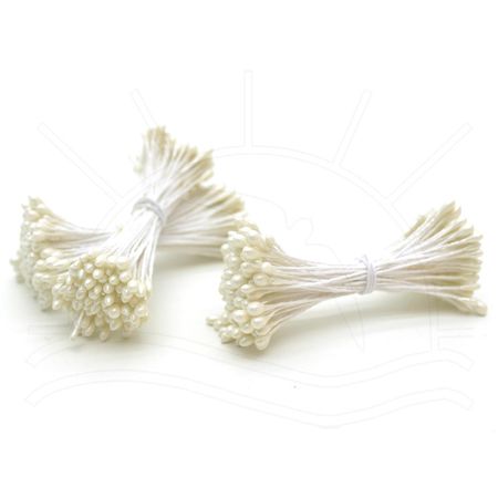 009491_000000_1 009491_000000_1