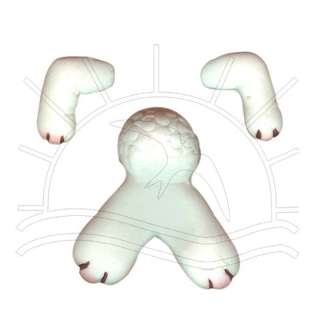 001329_000000_1 001329_000000_1