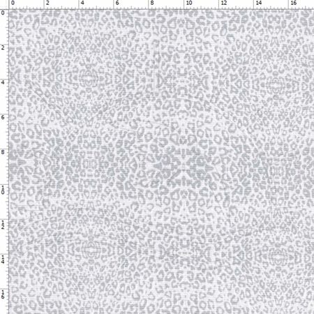 019786_000000_1 019786_000000_1