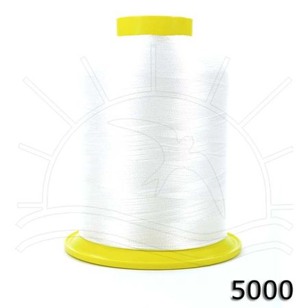 021391_007790_1 021391_007790_1