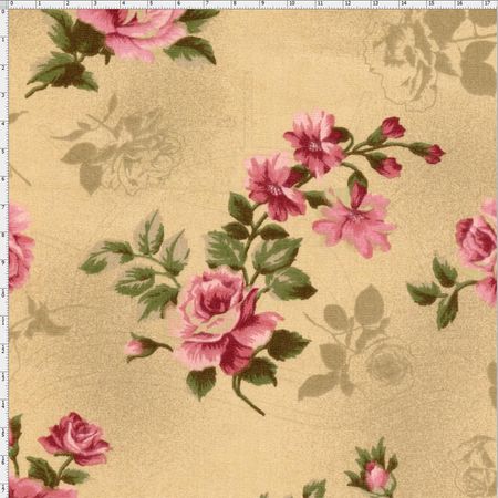 023217_000000_1 023217_000000_1