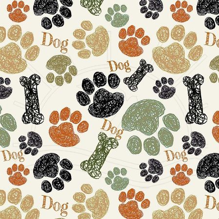 023904_000000_1 023904_000000_1