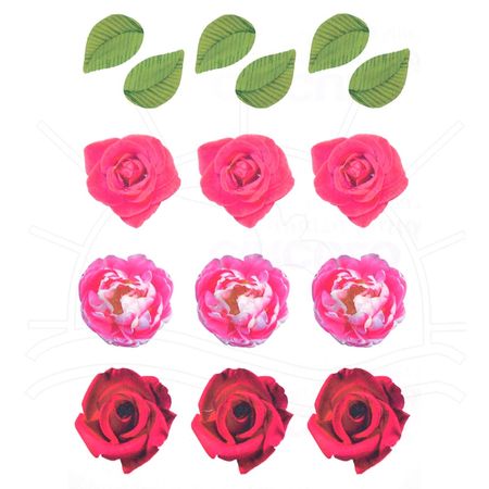 025081_000000_1 025081_000000_1