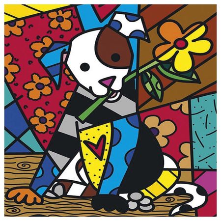 026081_000000_1 026081_000000_1