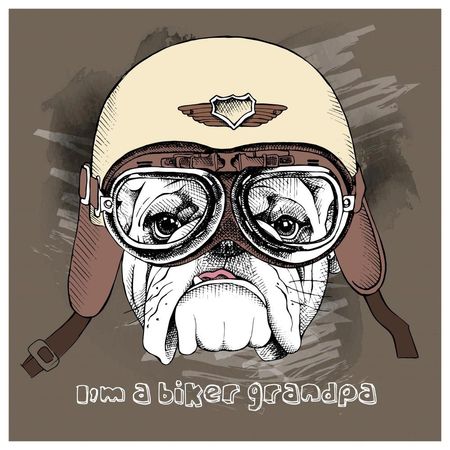 026304_000000_1 026304_000000_1