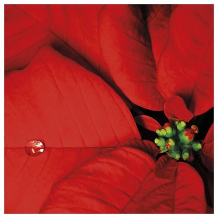 026316_000000_1 026316_000000_1