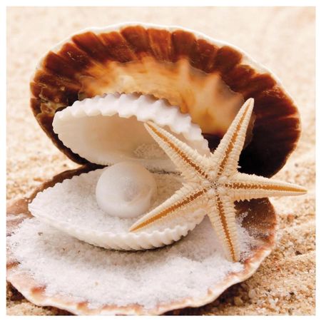 026324_000000_1 026324_000000_1