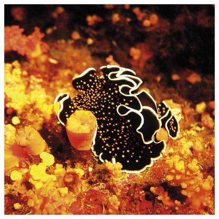 026356_000000_1 026356_000000_1