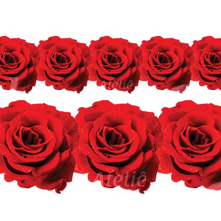 026479_000000_1 026479_000000_1