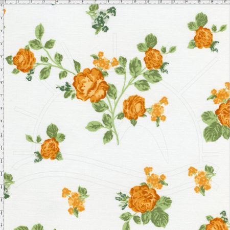 026513_000000_1 026513_000000_1