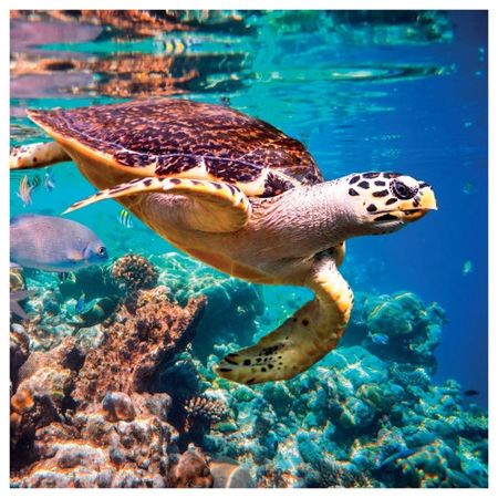 030972_000000_1 030972_000000_1