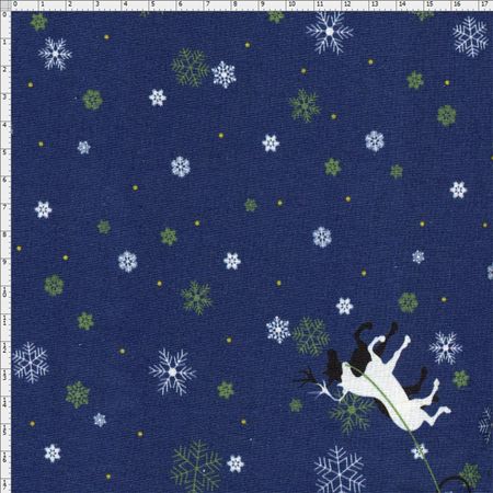 031150_000000_1 031150_000000_1