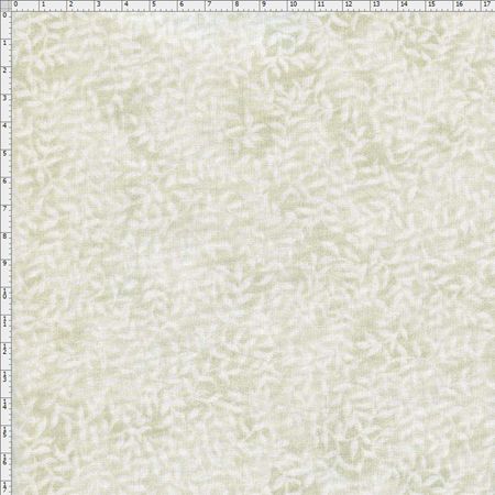 031546_000000_1 031546_000000_1