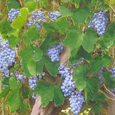 033256_000000_1 033256_000000_1