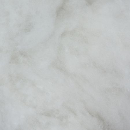 036450_000000_1 036450_000000_1