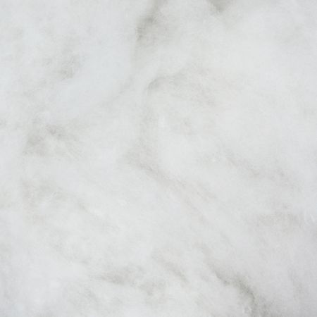 036448_000000_1 036448_000000_1