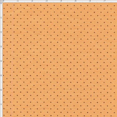 036241_000000_1 036241_000000_1