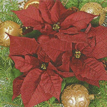 036790_000000_1 036790_000000_1