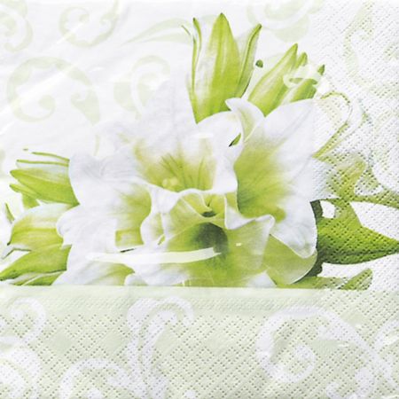 037320_000000_1 037320_000000_1