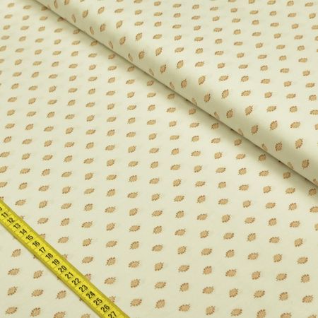 038138_000000_1 038138_000000_1