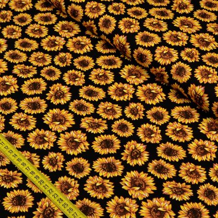 038255_000000_1 038255_000000_1