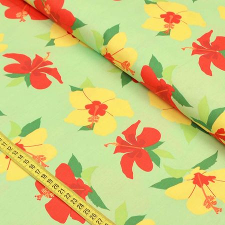 031158_000000_1 031158_000000_1