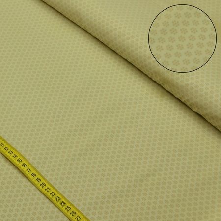 038667_000000_1 038667_000000_1