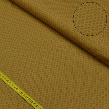 038668_000000_1 038668_000000_1