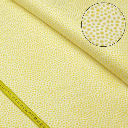 038638_000000_1 038638_000000_1