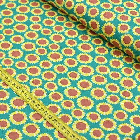 031480_000000_1 031480_000000_1