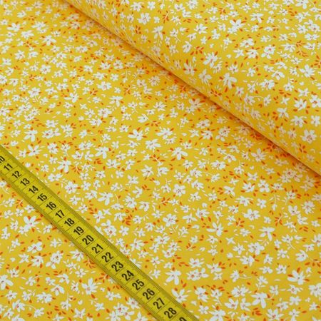 039053_000000_1 039053_000000_1