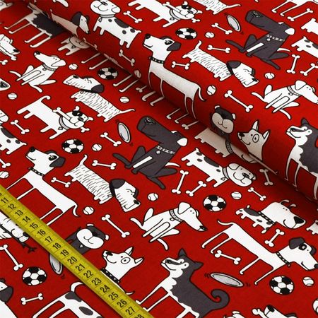 012843_000000_1 012843_000000_1