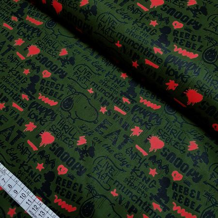 039529_000000_1 039529_000000_1