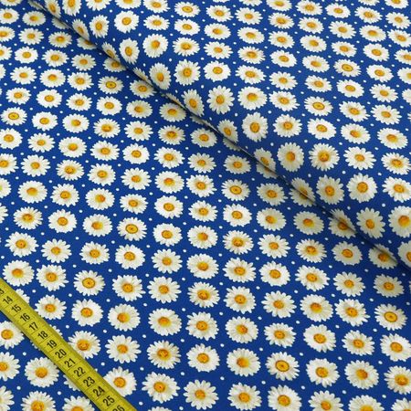 039813_000000_1 039813_000000_1