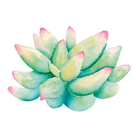 040494_000000_1 040494_000000_1